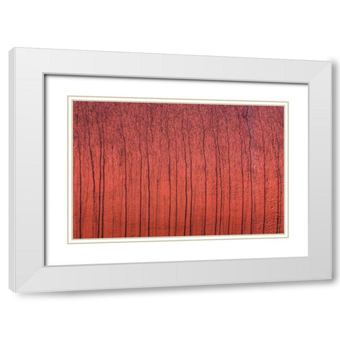 Painted Metal White Modern Wood Framed Art Print with Double Matting by Mahan, Kathy