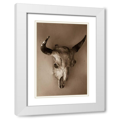 Steer Skull White Modern Wood Framed Art Print with Double Matting by Mahan, Kathy