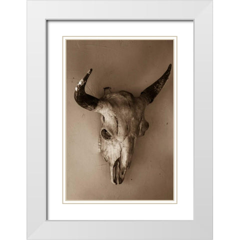Steer Skull White Modern Wood Framed Art Print with Double Matting by Mahan, Kathy