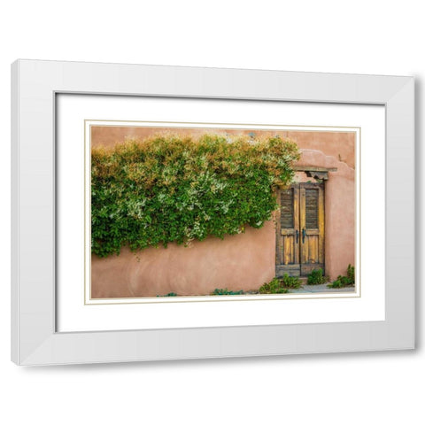 Gate II White Modern Wood Framed Art Print with Double Matting by Mahan, Kathy