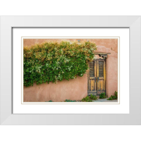 Gate II White Modern Wood Framed Art Print with Double Matting by Mahan, Kathy