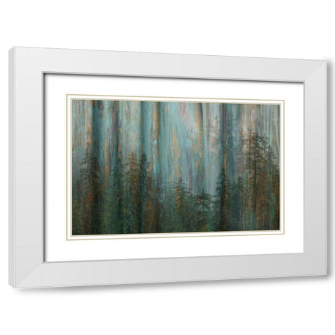 Forest I White Modern Wood Framed Art Print with Double Matting by Mahan, Kathy