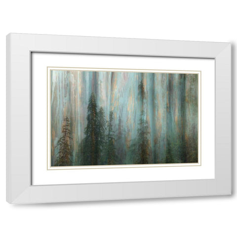 Forest II White Modern Wood Framed Art Print with Double Matting by Mahan, Kathy