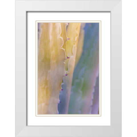Agave II White Modern Wood Framed Art Print with Double Matting by Mahan, Kathy