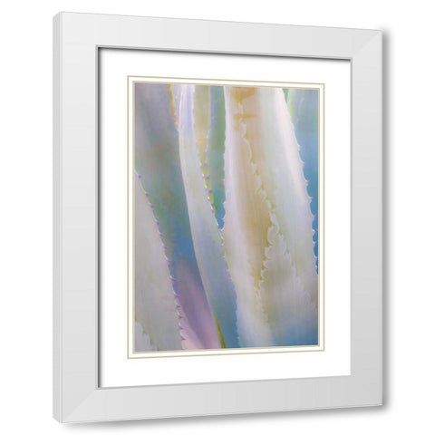 Agave IV White Modern Wood Framed Art Print with Double Matting by Mahan, Kathy