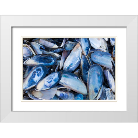 Mussels I White Modern Wood Framed Art Print with Double Matting by Mahan, Kathy