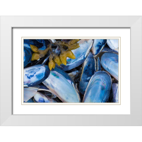 Mussels II White Modern Wood Framed Art Print with Double Matting by Mahan, Kathy