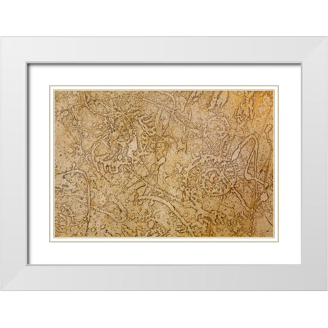 San Miguel Fossils II White Modern Wood Framed Art Print with Double Matting by Mahan, Kathy