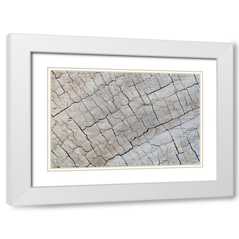 Weathered Wood I White Modern Wood Framed Art Print with Double Matting by Mahan, Kathy