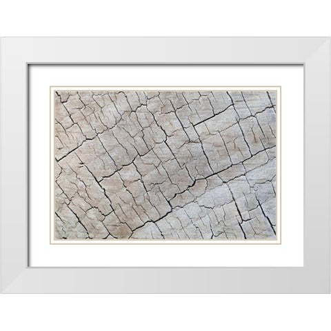 Weathered Wood I White Modern Wood Framed Art Print with Double Matting by Mahan, Kathy