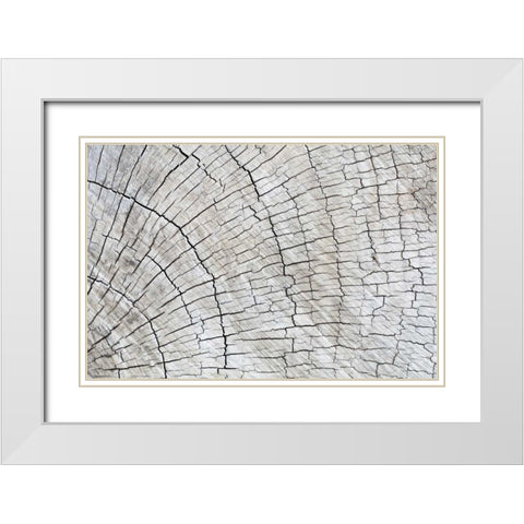 Weathered Wood II White Modern Wood Framed Art Print with Double Matting by Mahan, Kathy