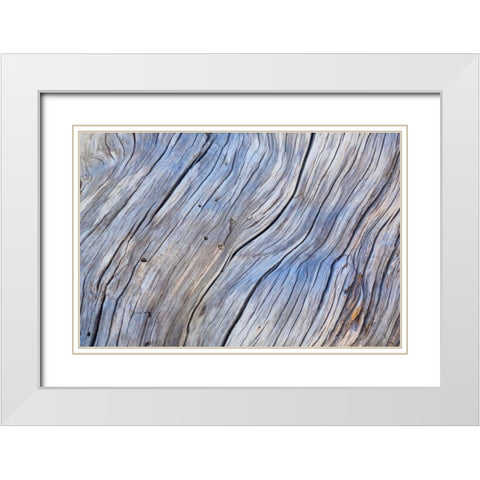 Weathered Wood IV White Modern Wood Framed Art Print with Double Matting by Mahan, Kathy