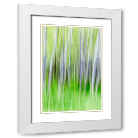 Yakima River Trail I White Modern Wood Framed Art Print with Double Matting by Mahan, Kathy