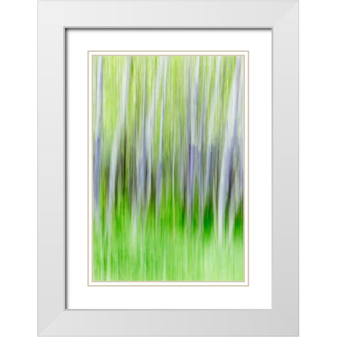 Yakima River Trail I White Modern Wood Framed Art Print with Double Matting by Mahan, Kathy