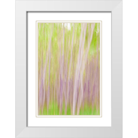 Yakima River Trail II White Modern Wood Framed Art Print with Double Matting by Mahan, Kathy