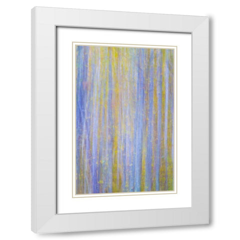 Forest Blur I White Modern Wood Framed Art Print with Double Matting by Mahan, Kathy