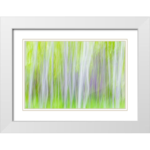 Aspen Blur I White Modern Wood Framed Art Print with Double Matting by Mahan, Kathy