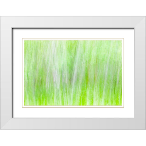Aspen Blur II White Modern Wood Framed Art Print with Double Matting by Mahan, Kathy