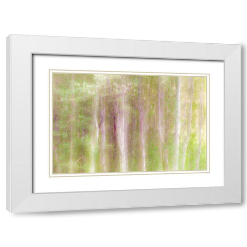 Aspen Blur III White Modern Wood Framed Art Print with Double Matting by Mahan, Kathy