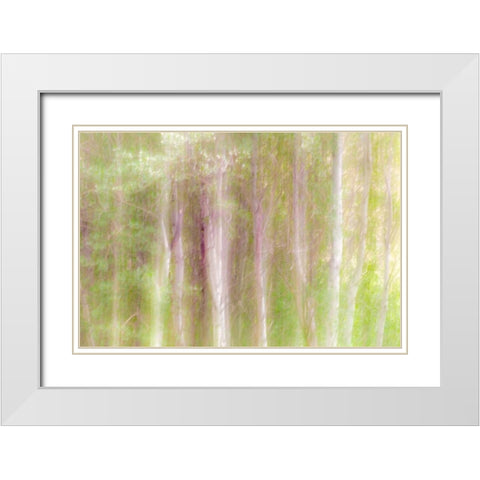 Aspen Blur III White Modern Wood Framed Art Print with Double Matting by Mahan, Kathy