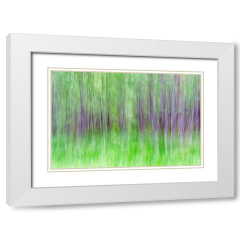Aspen Blur IV White Modern Wood Framed Art Print with Double Matting by Mahan, Kathy
