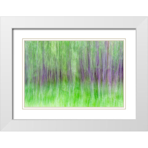 Aspen Blur IV White Modern Wood Framed Art Print with Double Matting by Mahan, Kathy