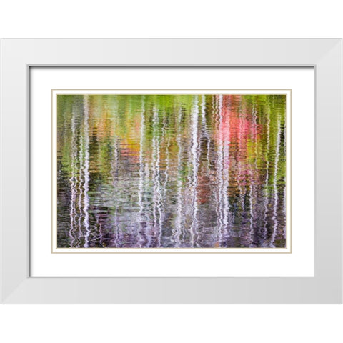 Forest Reflections II White Modern Wood Framed Art Print with Double Matting by Mahan, Kathy