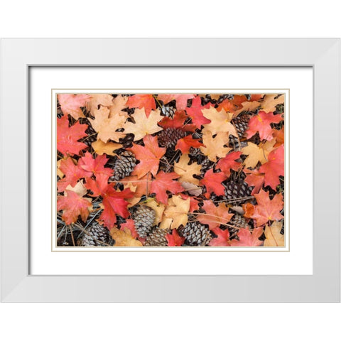 Fallen Leaves II White Modern Wood Framed Art Print with Double Matting by Mahan, Kathy