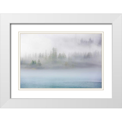 Alaska Fog II White Modern Wood Framed Art Print with Double Matting by Mahan, Kathy