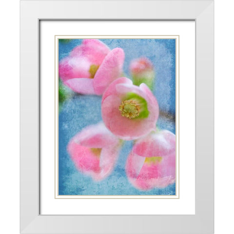 Flowering Quince II White Modern Wood Framed Art Print with Double Matting by Mahan, Kathy