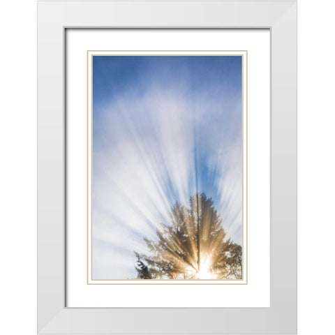 Sunburst I White Modern Wood Framed Art Print with Double Matting by Mahan, Kathy