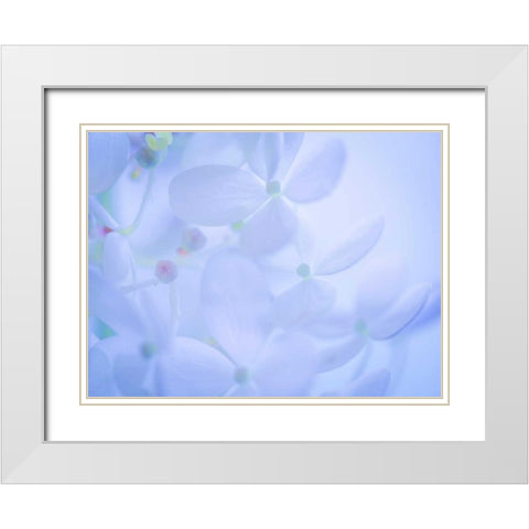 Lime Light Hydrangea II White Modern Wood Framed Art Print with Double Matting by Mahan, Kathy