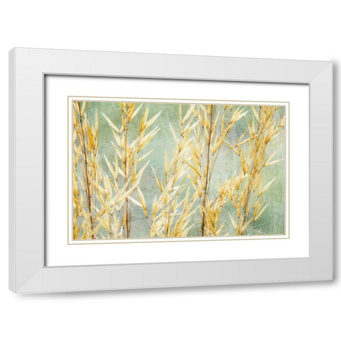 Golden Grasses White Modern Wood Framed Art Print with Double Matting by Mahan, Kathy
