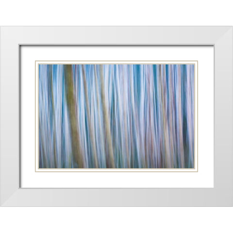 Winter Forest Abstract I White Modern Wood Framed Art Print with Double Matting by Mahan, Kathy