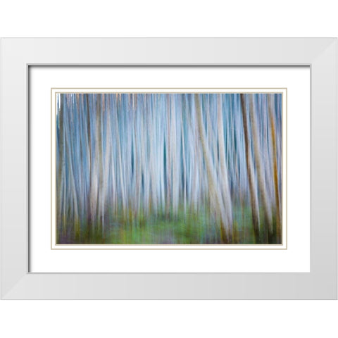 Winter Forest Abstract II White Modern Wood Framed Art Print with Double Matting by Mahan, Kathy