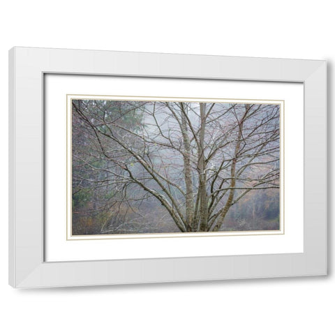 Foggy Winter I White Modern Wood Framed Art Print with Double Matting by Mahan, Kathy