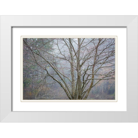 Foggy Winter I White Modern Wood Framed Art Print with Double Matting by Mahan, Kathy