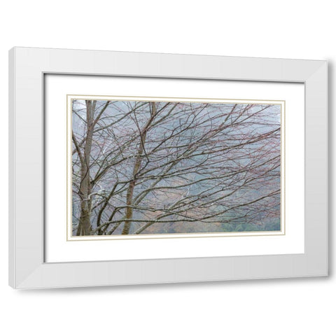 Foggy Winter II White Modern Wood Framed Art Print with Double Matting by Mahan, Kathy