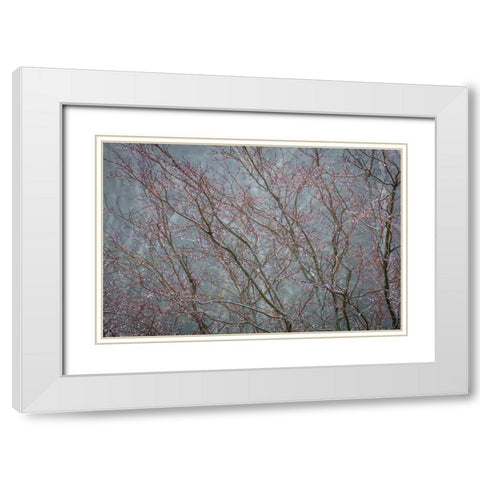 Winter Tree Limbs II White Modern Wood Framed Art Print with Double Matting by Mahan, Kathy