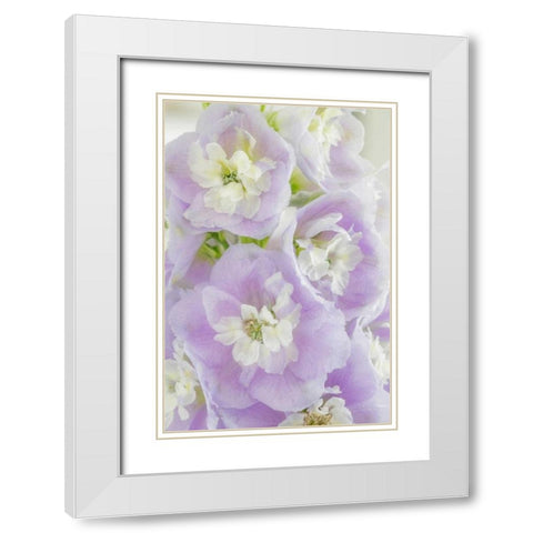 Delphinium Blossoms I White Modern Wood Framed Art Print with Double Matting by Mahan, Kathy
