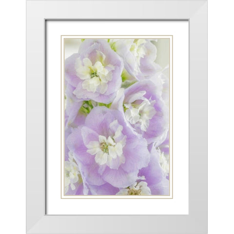 Delphinium Blossoms I White Modern Wood Framed Art Print with Double Matting by Mahan, Kathy
