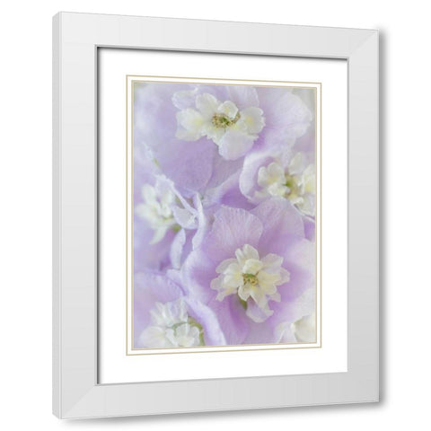 Delphinium Blossoms II White Modern Wood Framed Art Print with Double Matting by Mahan, Kathy