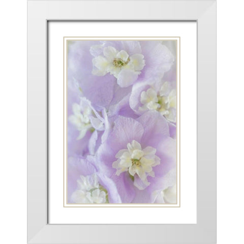 Delphinium Blossoms II White Modern Wood Framed Art Print with Double Matting by Mahan, Kathy
