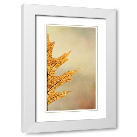 Oak Leaf II White Modern Wood Framed Art Print with Double Matting by Mahan, Kathy