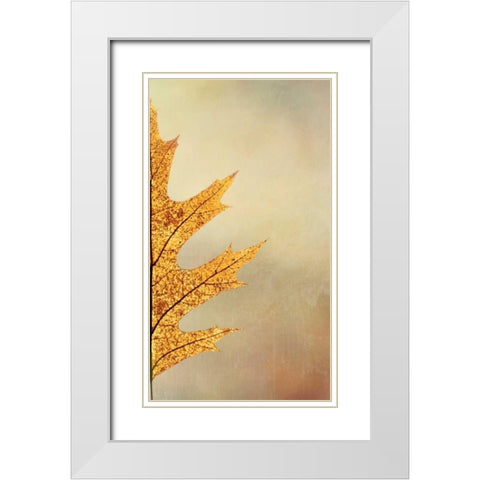 Oak Leaf II White Modern Wood Framed Art Print with Double Matting by Mahan, Kathy