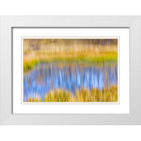 Fall Pond I White Modern Wood Framed Art Print with Double Matting by Mahan, Kathy