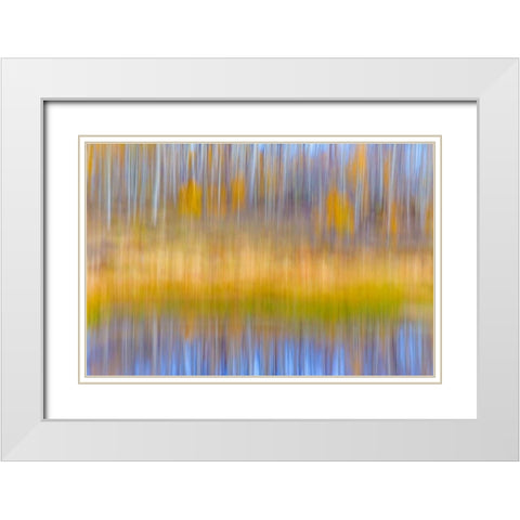 Fall Pond II White Modern Wood Framed Art Print with Double Matting by Mahan, Kathy