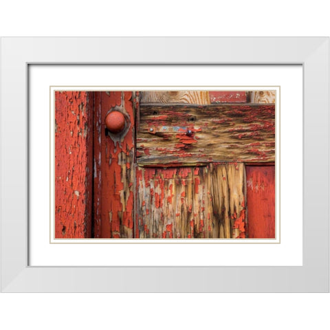 Weathered Door II White Modern Wood Framed Art Print with Double Matting by Mahan, Kathy