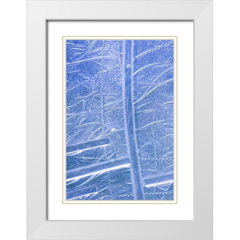 Patterns in Glass I White Modern Wood Framed Art Print with Double Matting by Mahan, Kathy