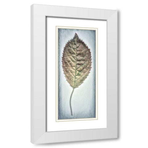 Cherry Leaf II White Modern Wood Framed Art Print with Double Matting by Mahan, Kathy